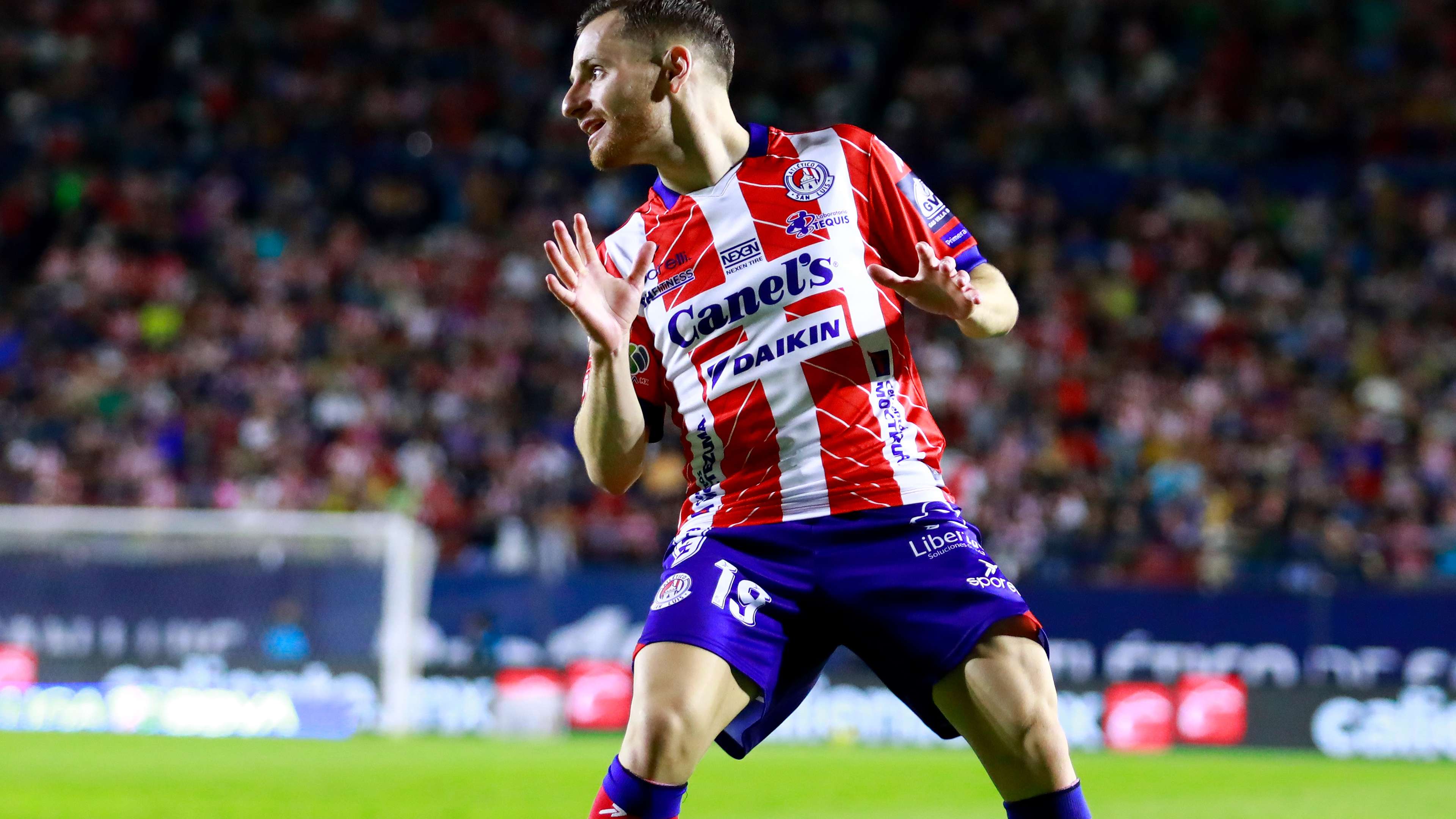 将是撕破新 将是撕破新