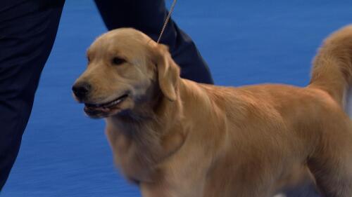 记者-维尼修斯米利唐都会续约 安帅要求续约塞巴略斯